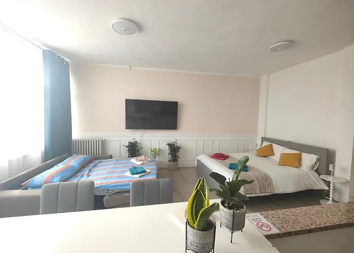 Mini Loft Con Terrazza Vista Alpi Apartment *
